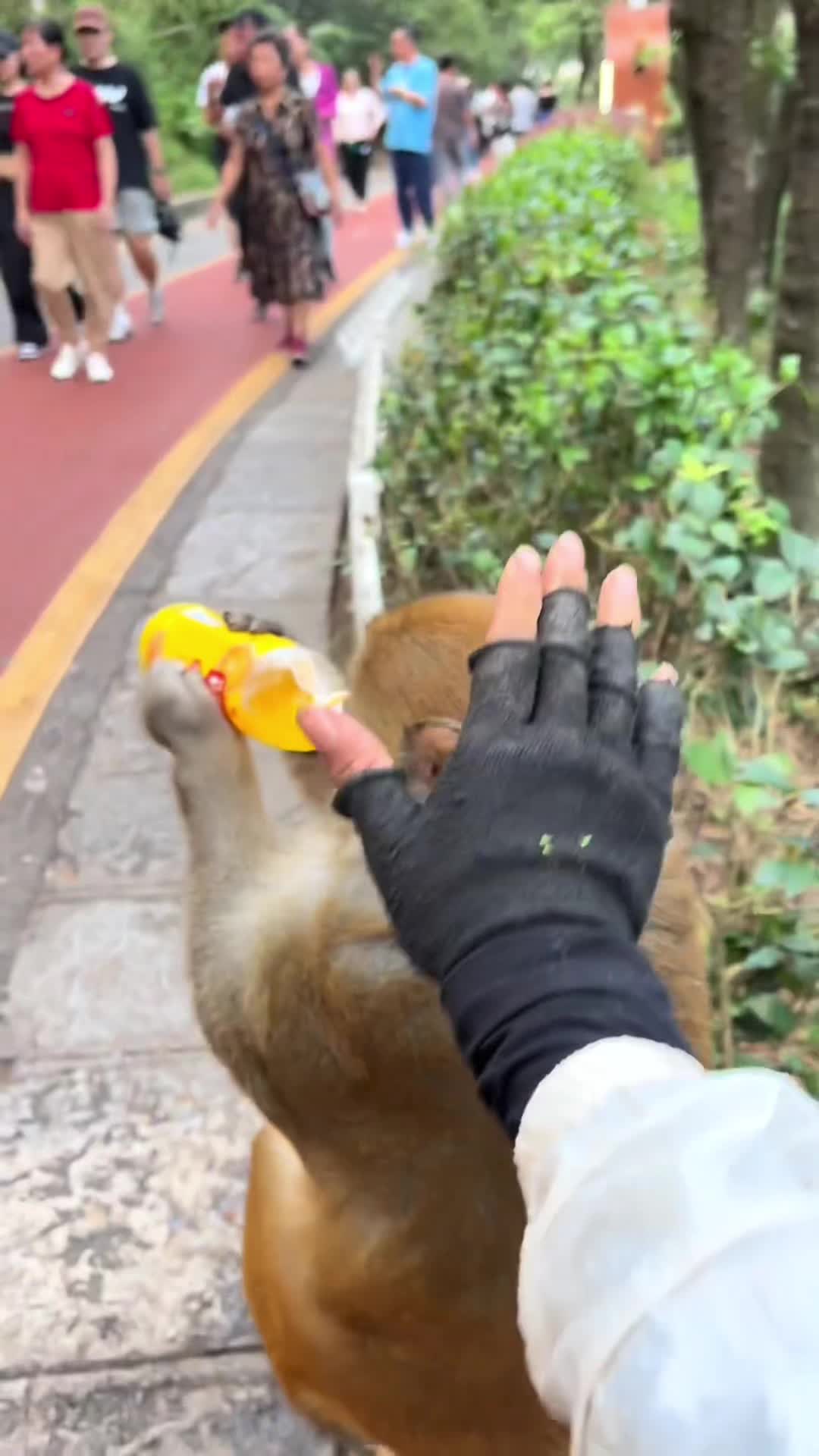 @Funny😁 animals👀