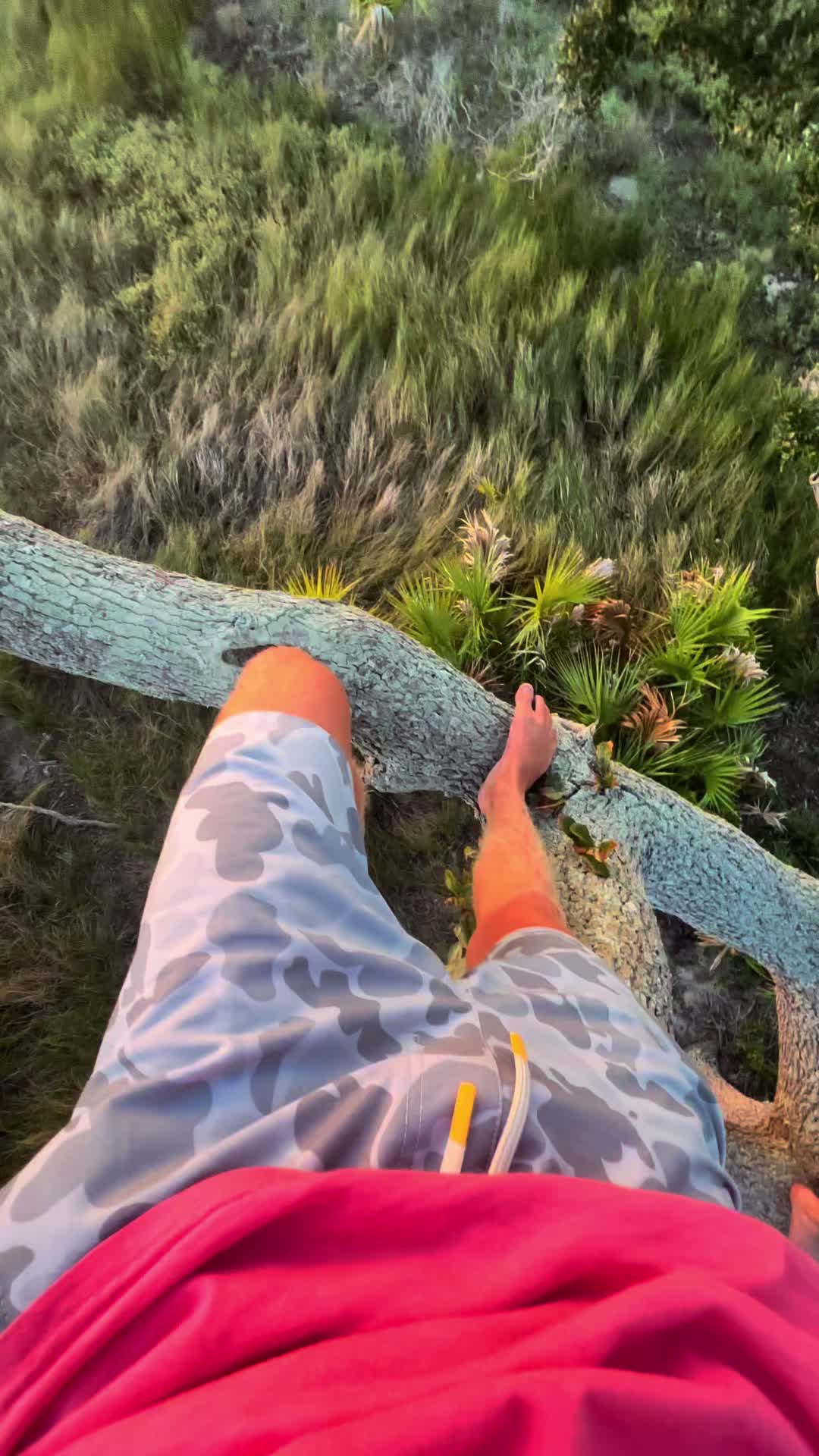 @holiday.ray