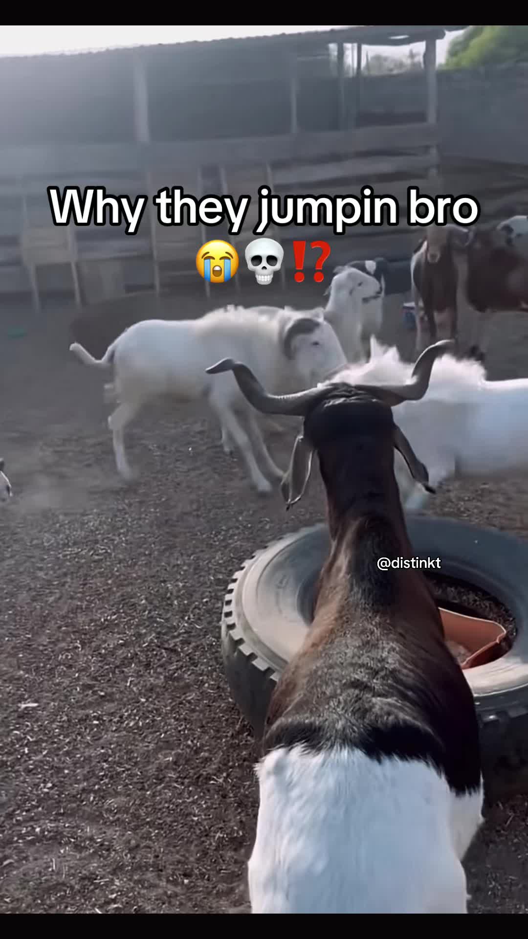 @Distinkt