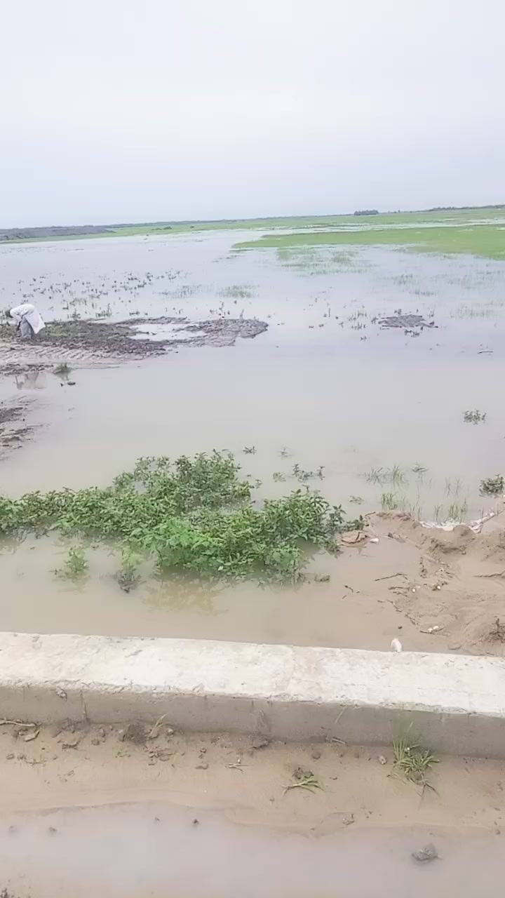 @Musa Nasiru