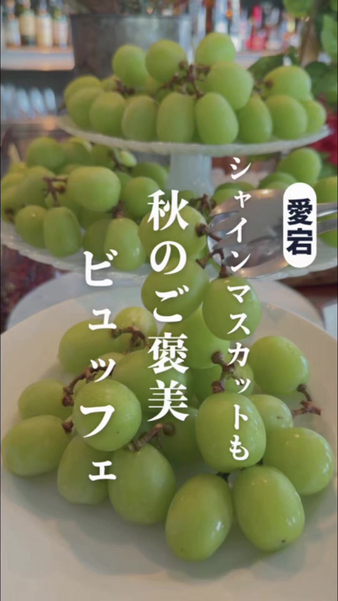 @qk東京グルメ/東京ビュッフェ食べ放題