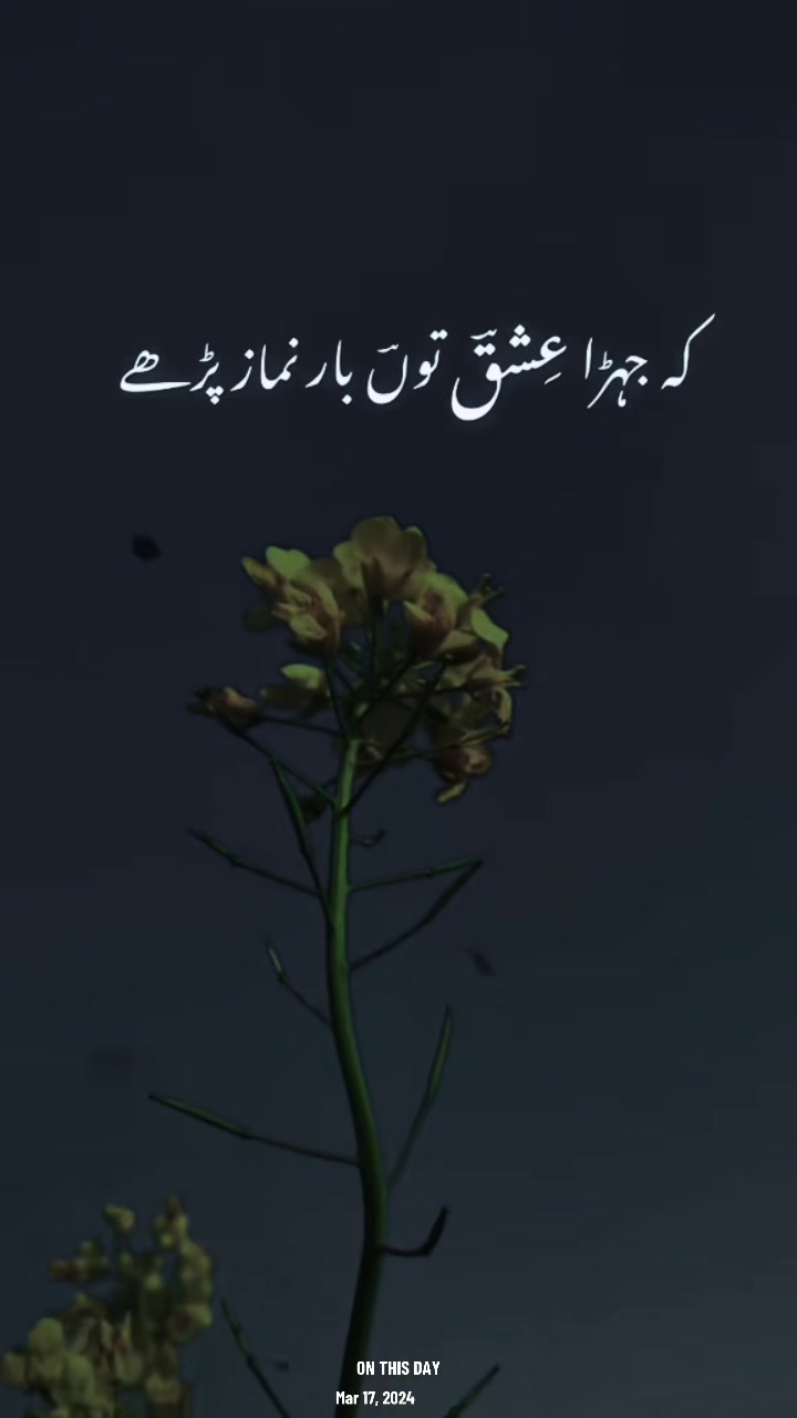 @ZeeshanHaider92110