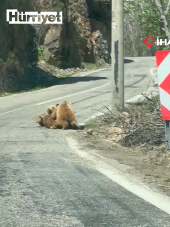 @Hürriyet