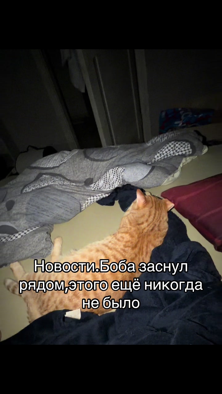 @кастрюля