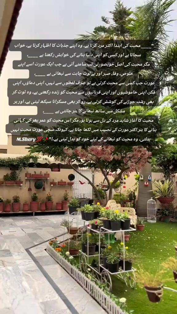 @Shery46