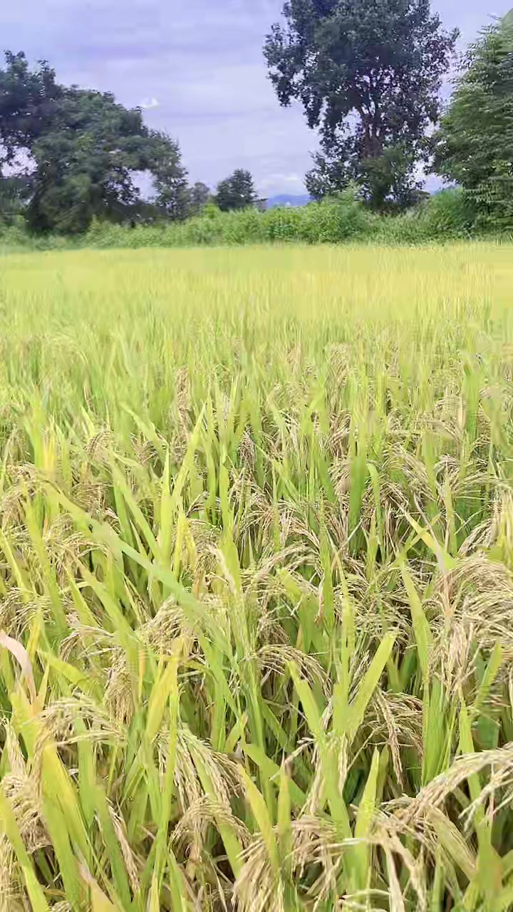 @Ramkushwaha108