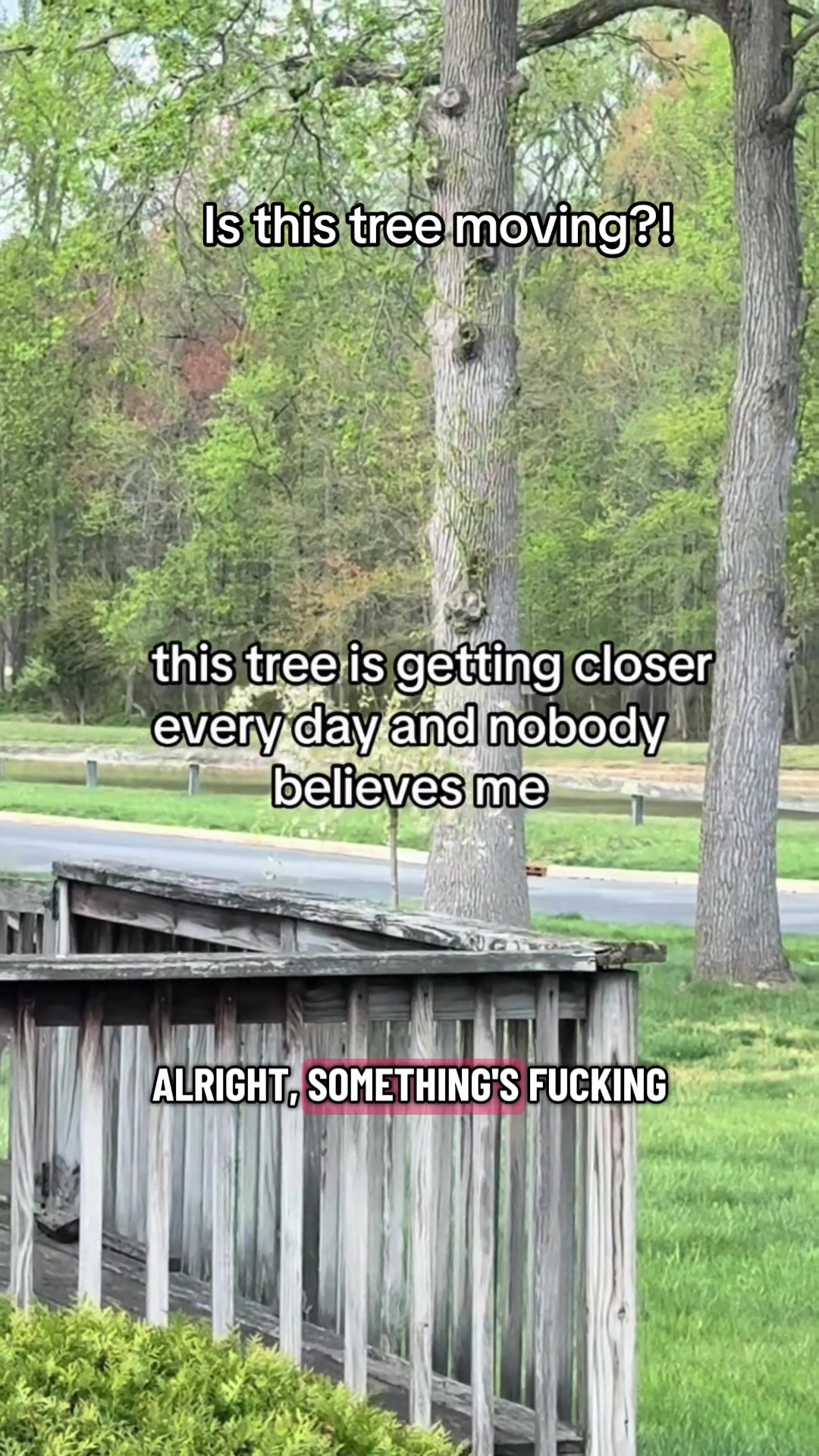 @Cryptid