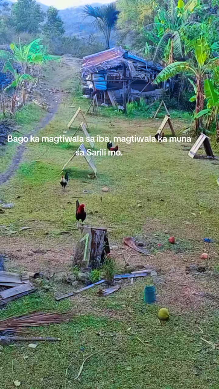 @BONALNOKK🐓