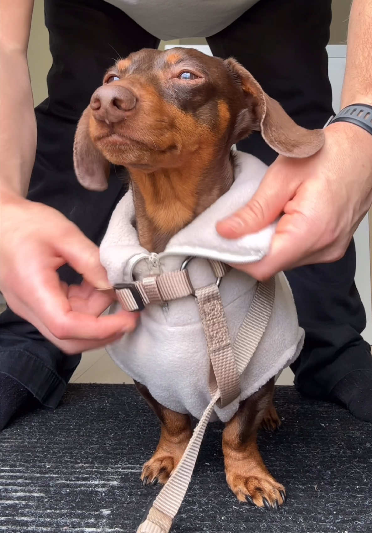 @sebbythesausage