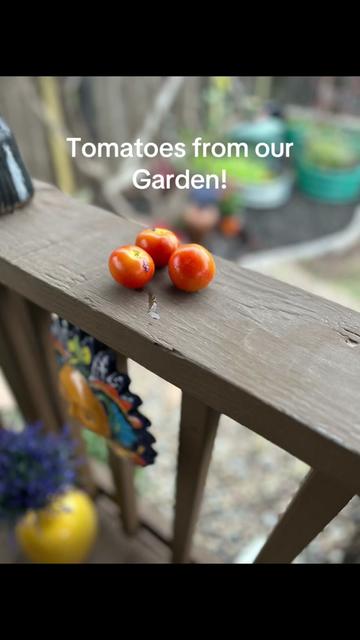 @lynda_satx