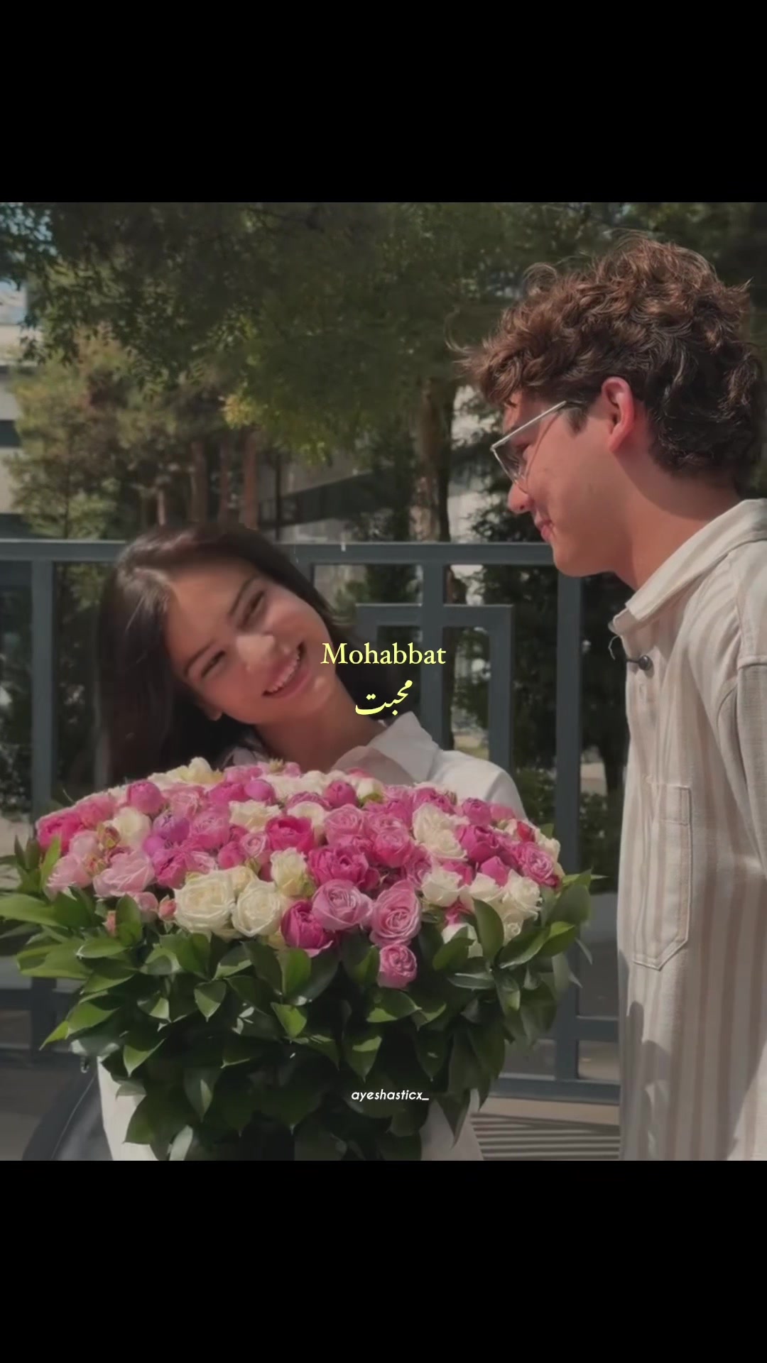 @๐ผ๐จ๐๐๐๐ฆขโจ