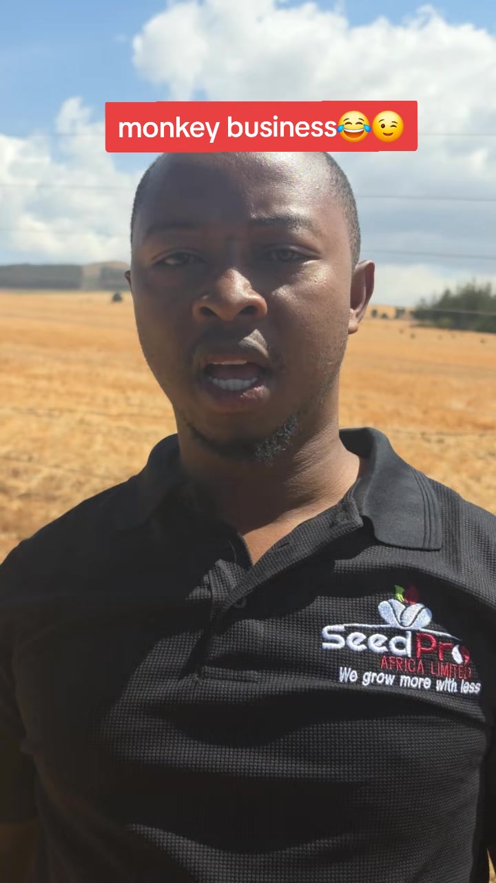 @Lamech Mkulima Mdogo