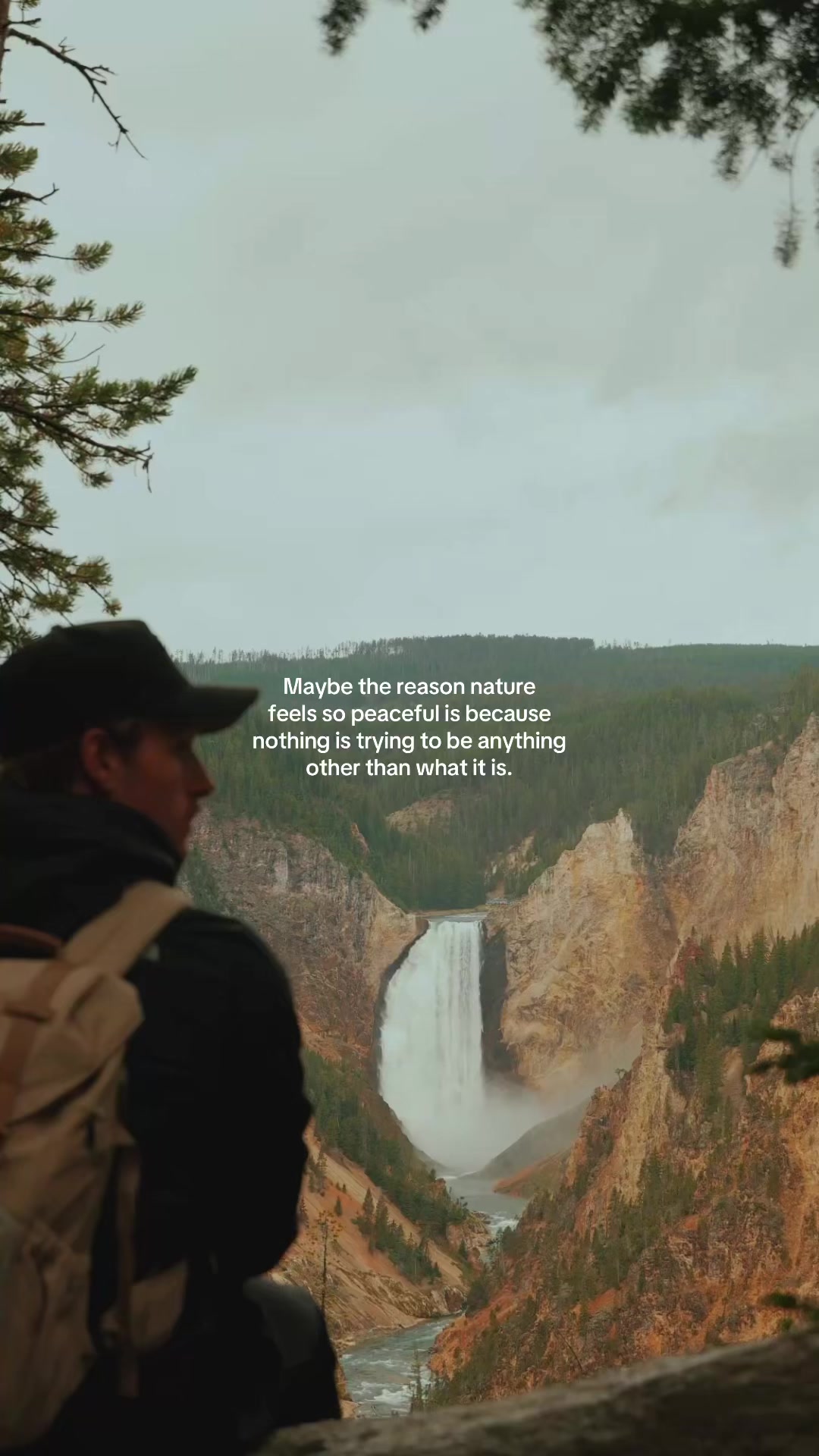 @Seekology