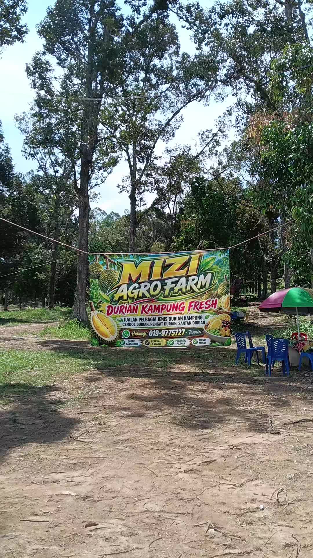 @hanihashim