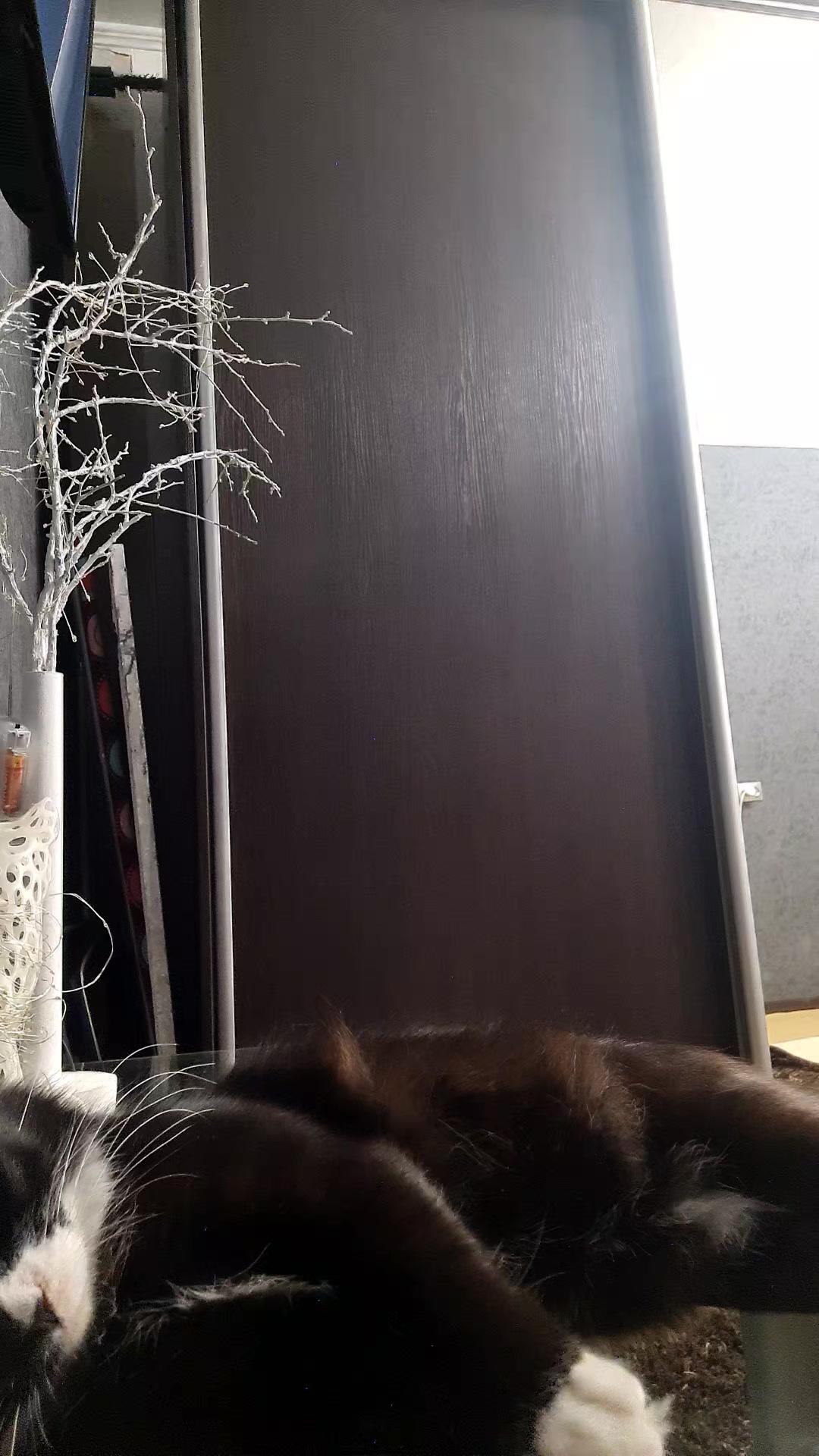 @зайка Блума💋