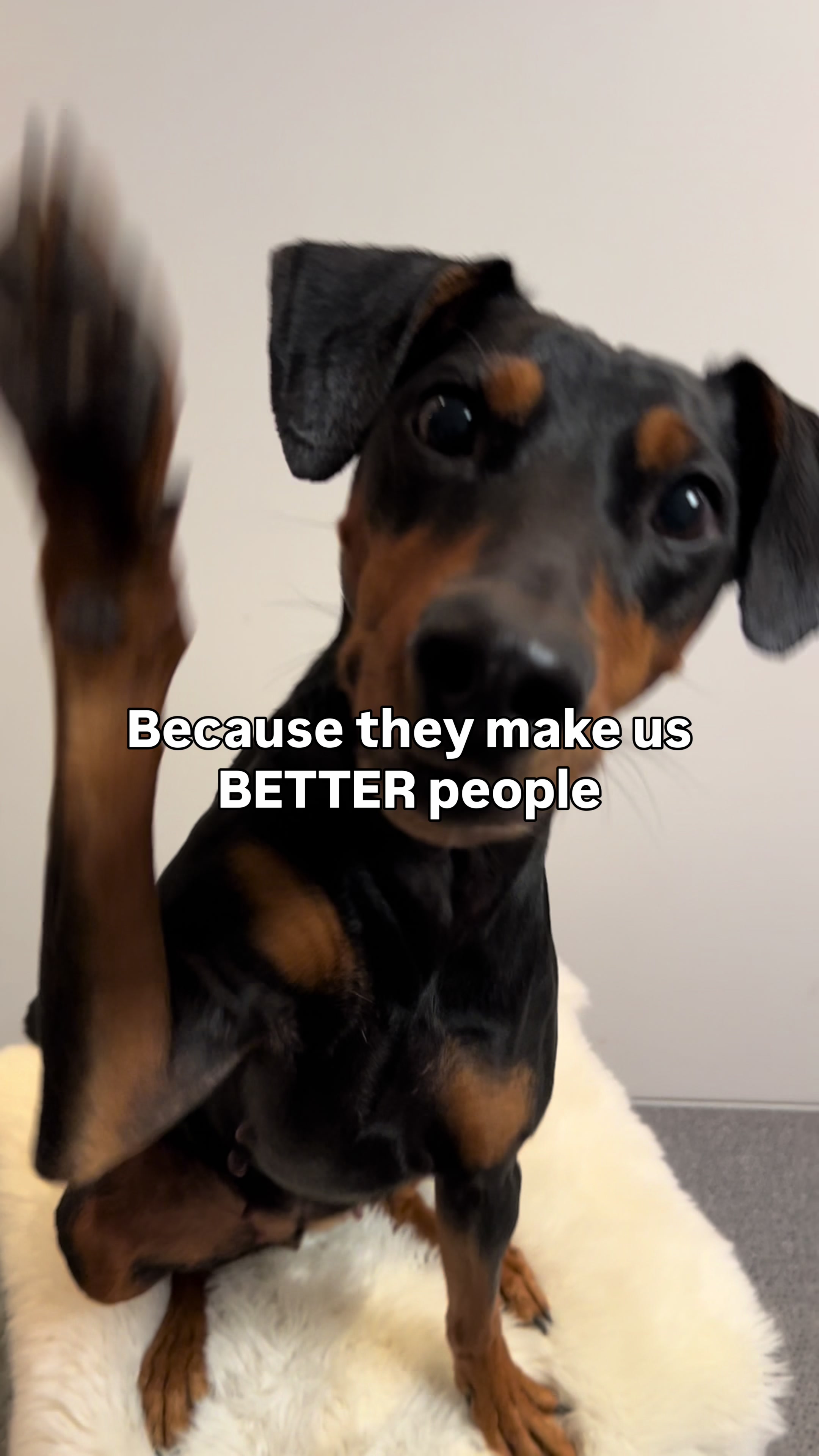 @AlvaTheHotDog