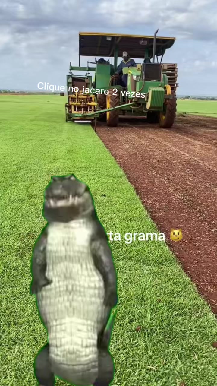 @Alexsandro Grama Itograss