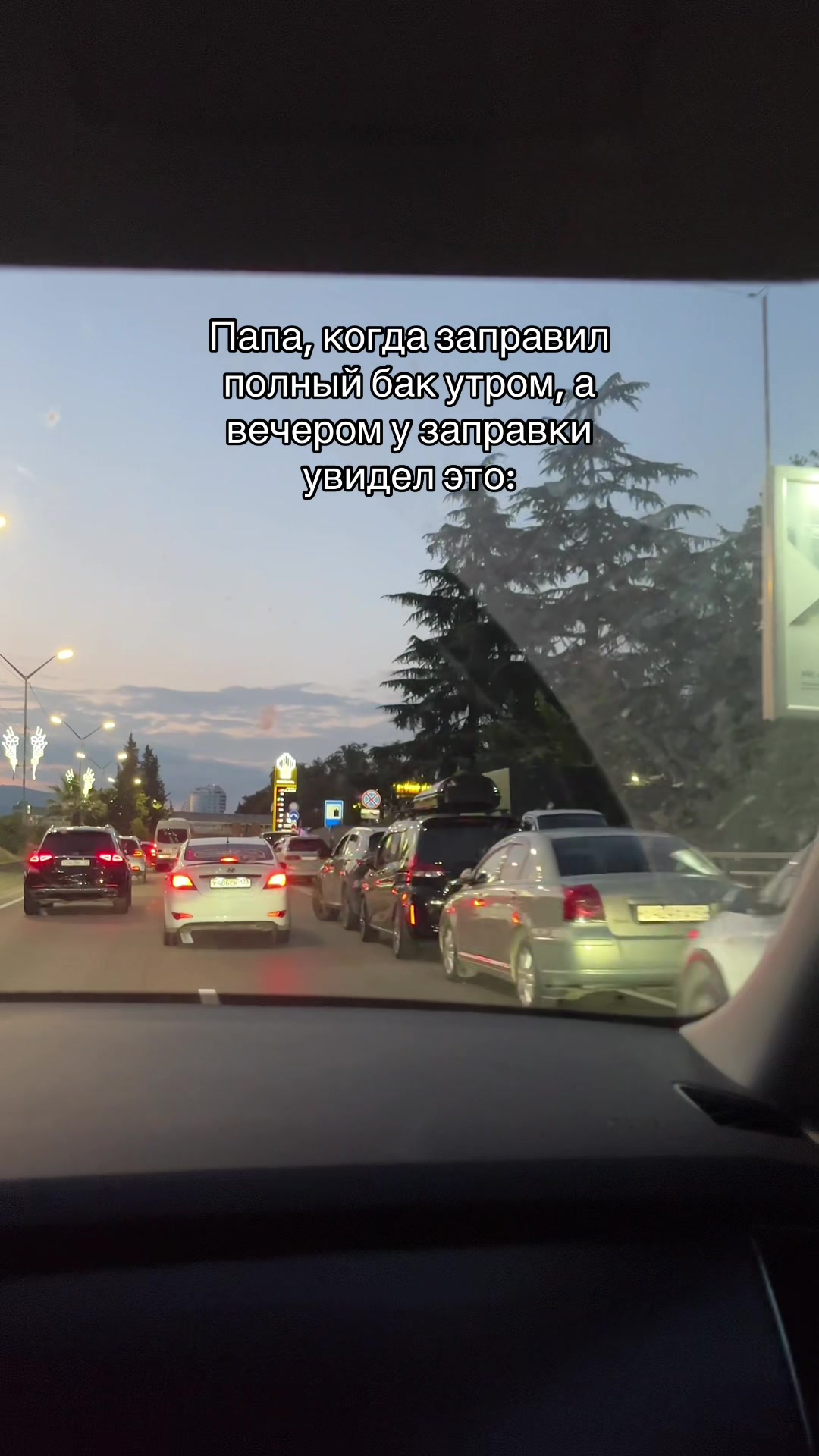 @фольксваген поля