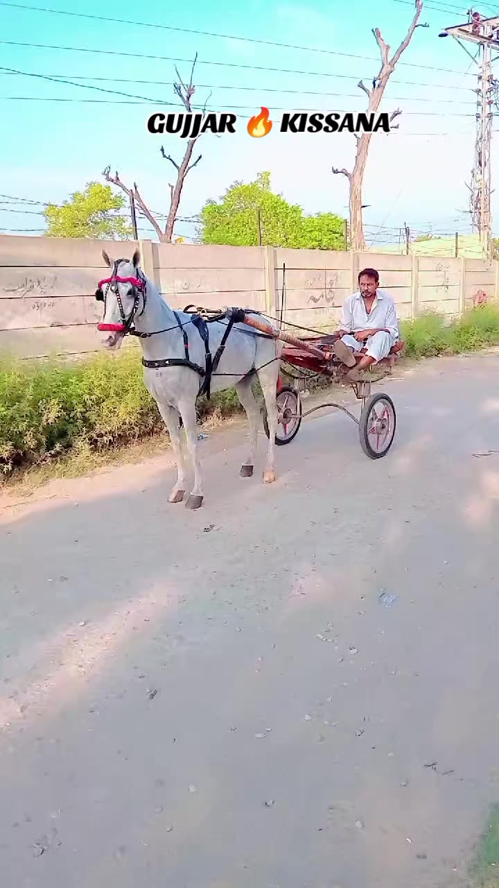 @𝐆𝐔𝐉𝐉𝐀𝐑 𝐊𝐈𝐒𝐒𝐀𝐍𝐀55