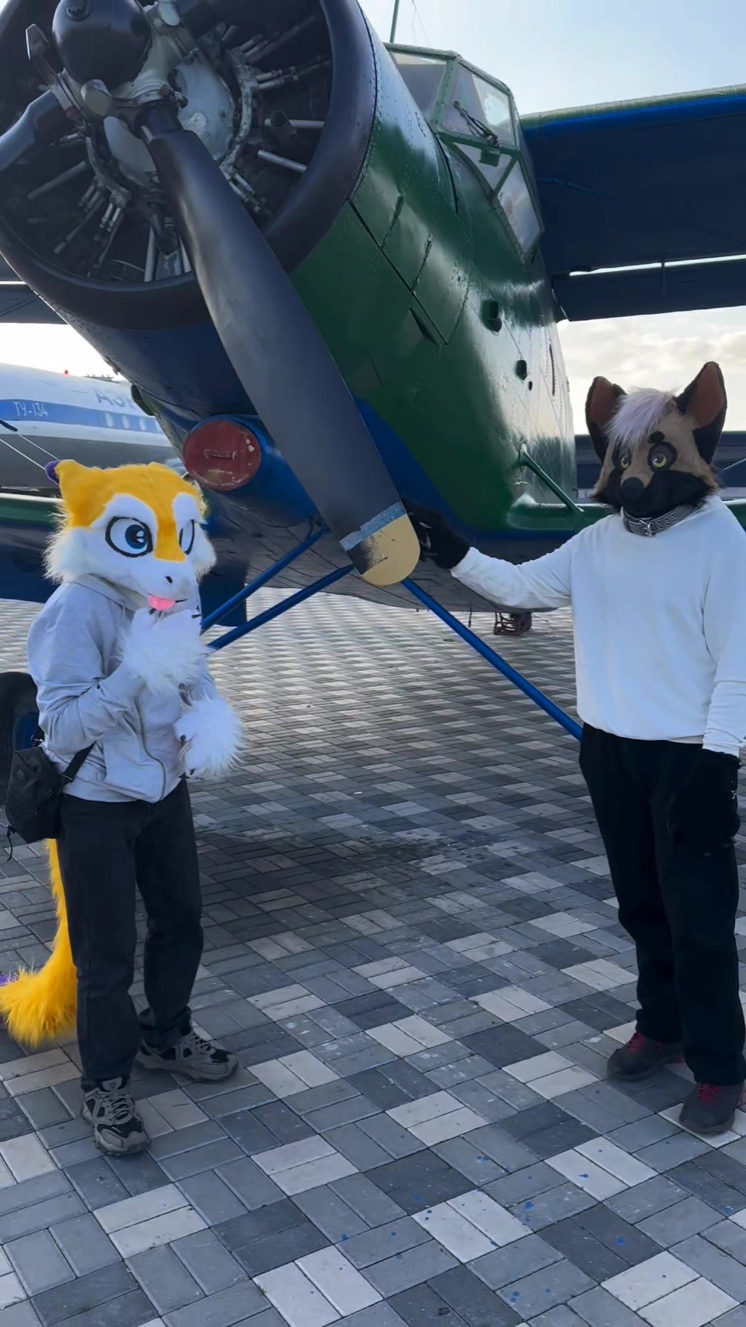 @RUSTY#WingedFox