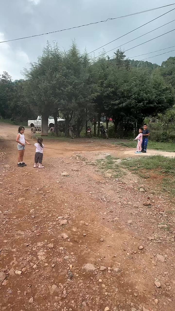 @Arbolera