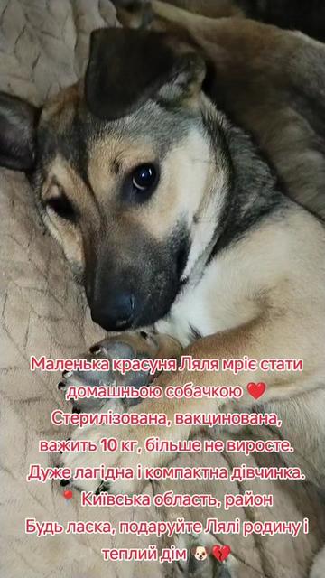 @viktoria)