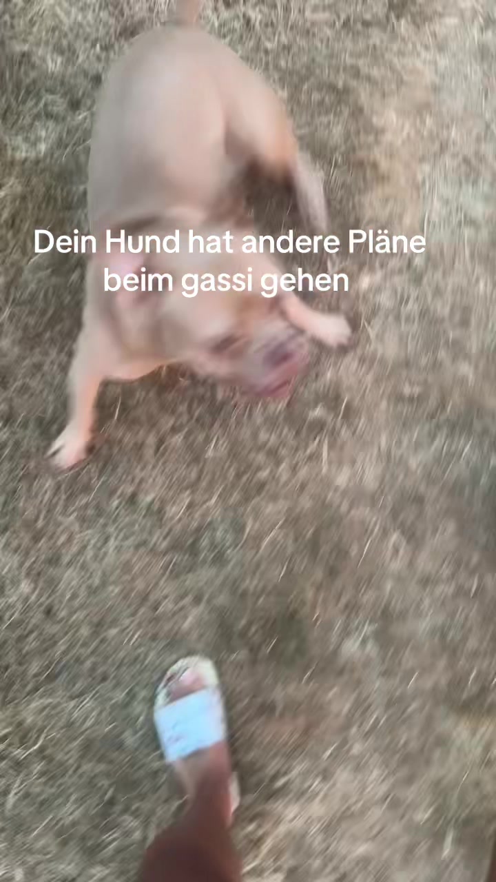 @𝐌𝐄𝐋𝐎𝐃𝐘