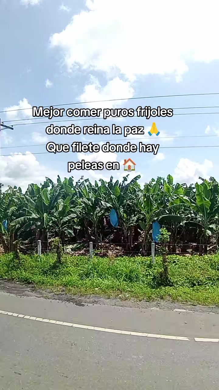 @wil urquia 🧸🍀