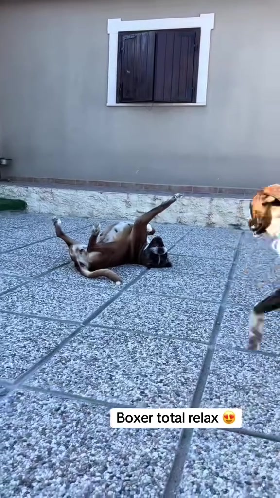 @Conci&Tako🤎🤍