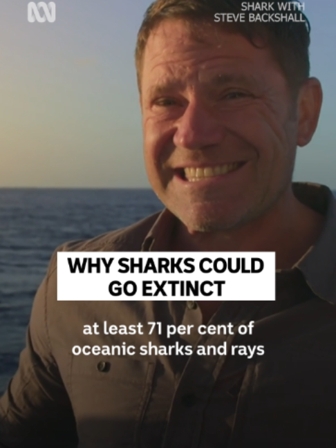 @ABC iview