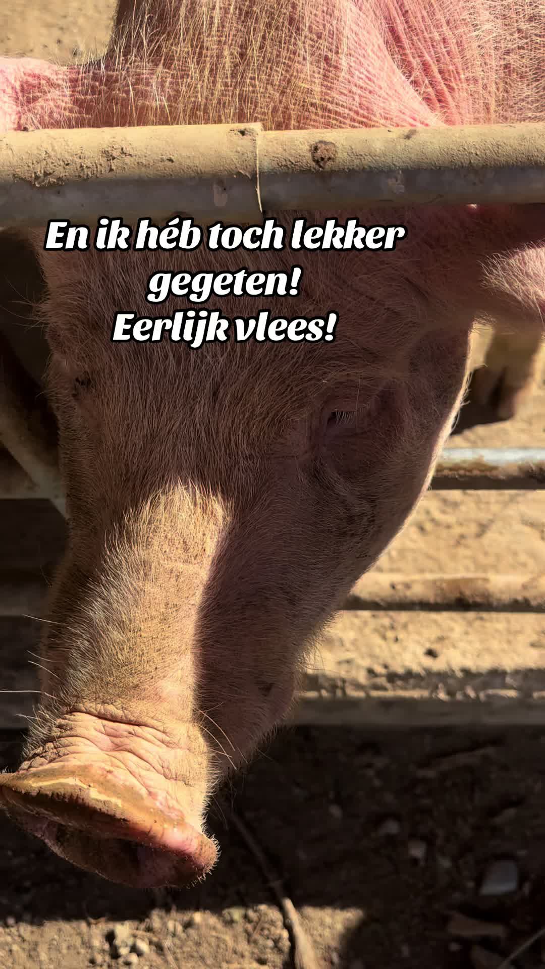 @Tante Til