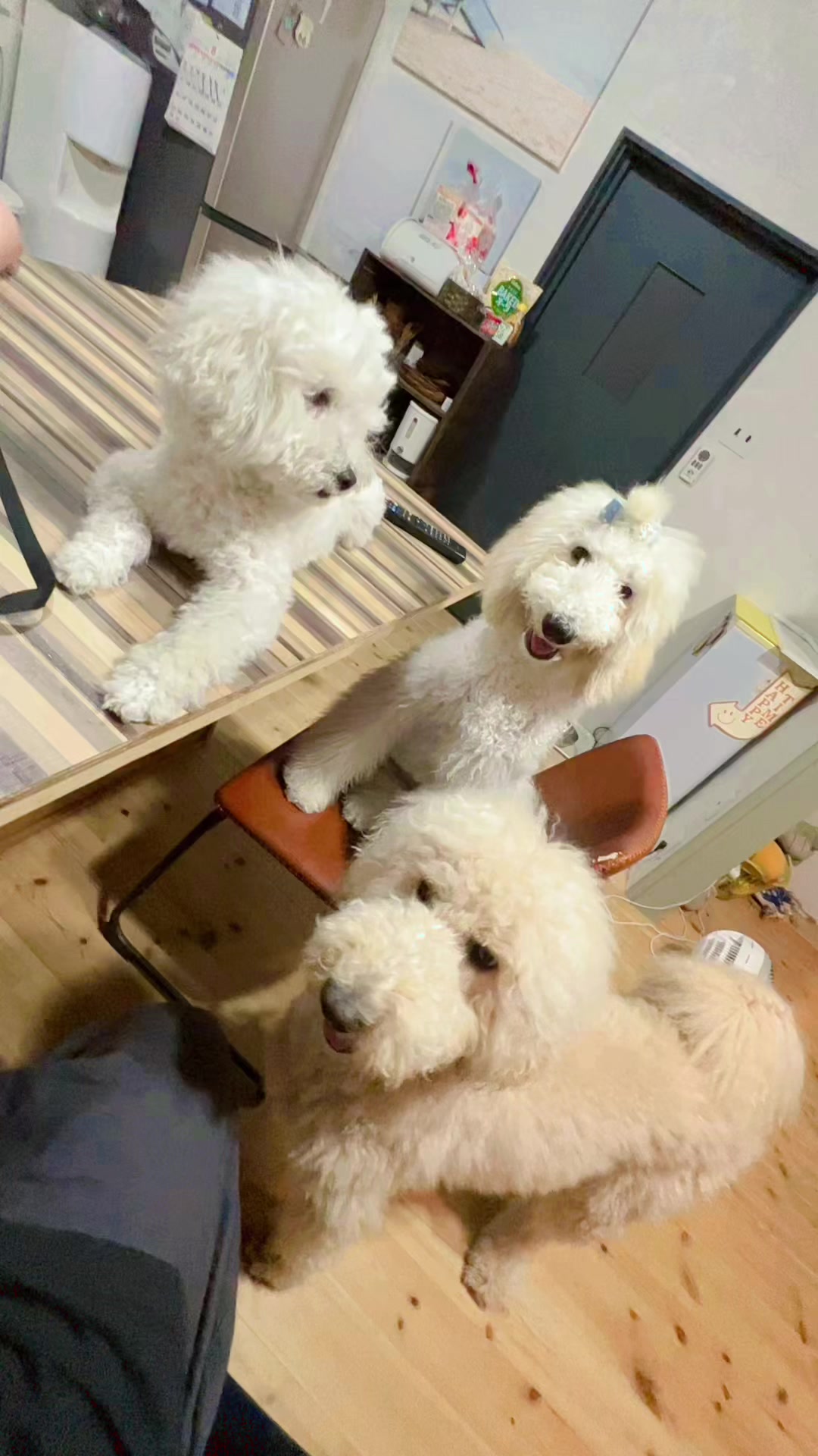 @ใใณใทใณ๐ถใจใใใ๐ถ๐ธๆใ
ใใฃใกใใ