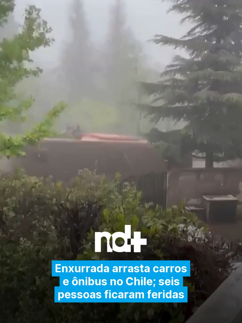 @portalndmais
