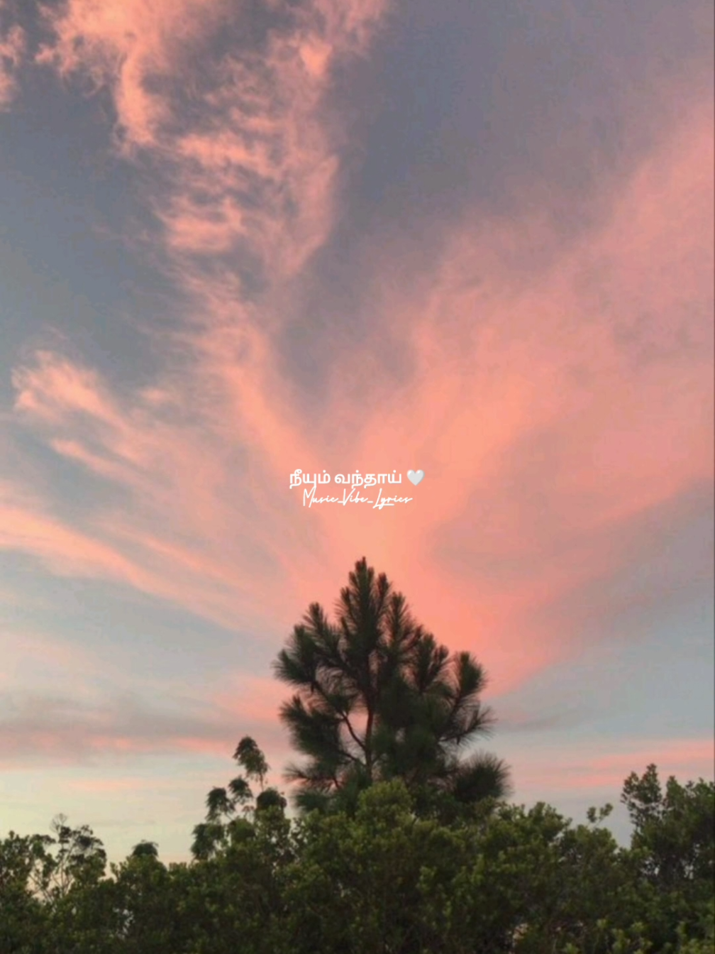 @Music_Vibes_Lyrics 🎶
