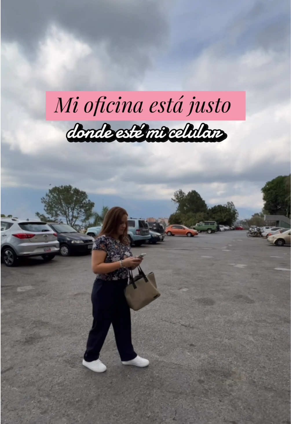 @Ventas Alpima
