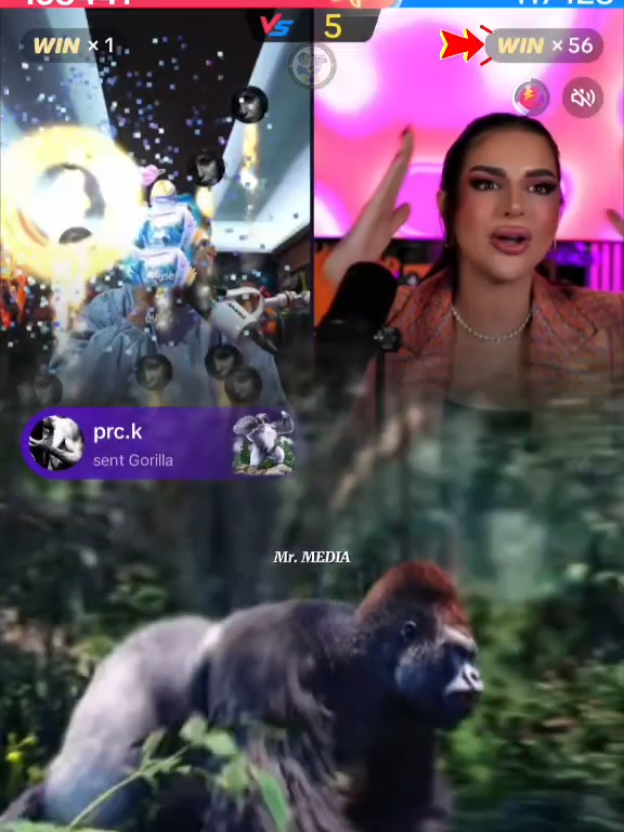 @Mr. MEDIA