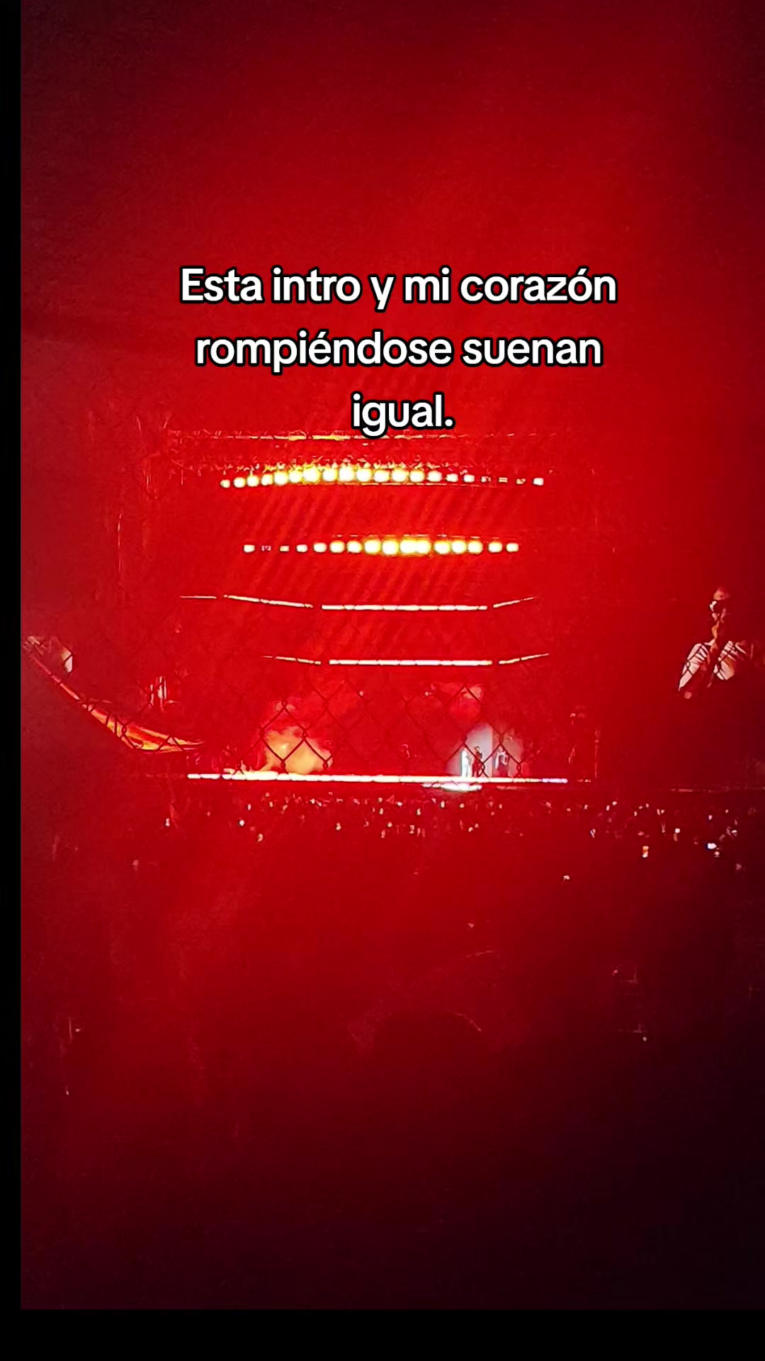 @Mariela Cuéllar.