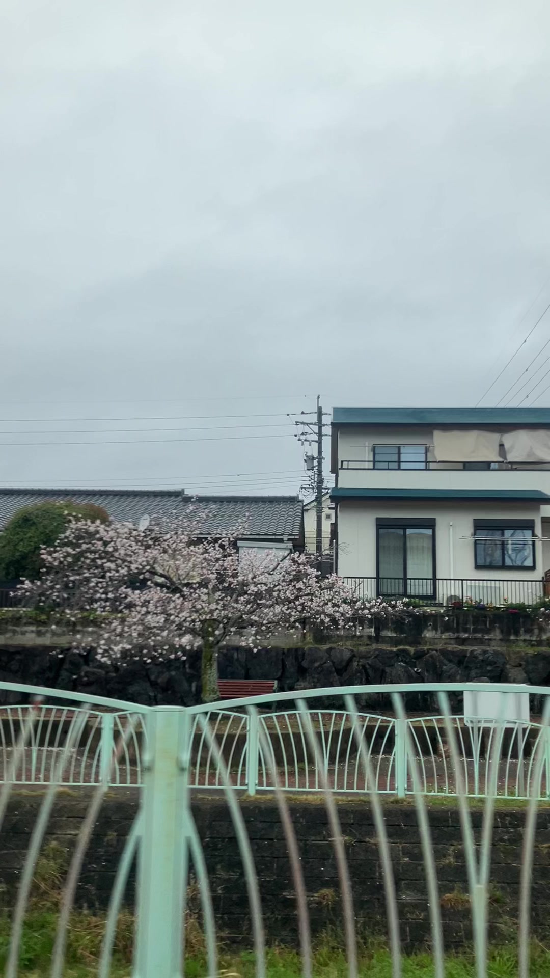 @わん@ぼっちJK