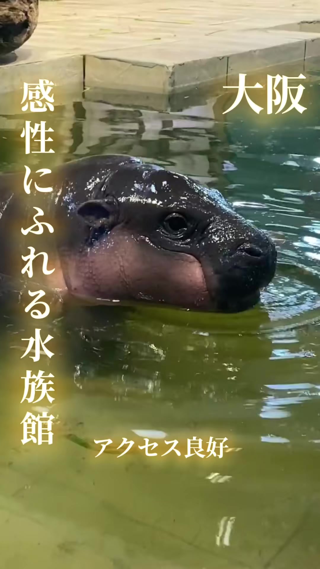 @寝不足夜更かしバリトン