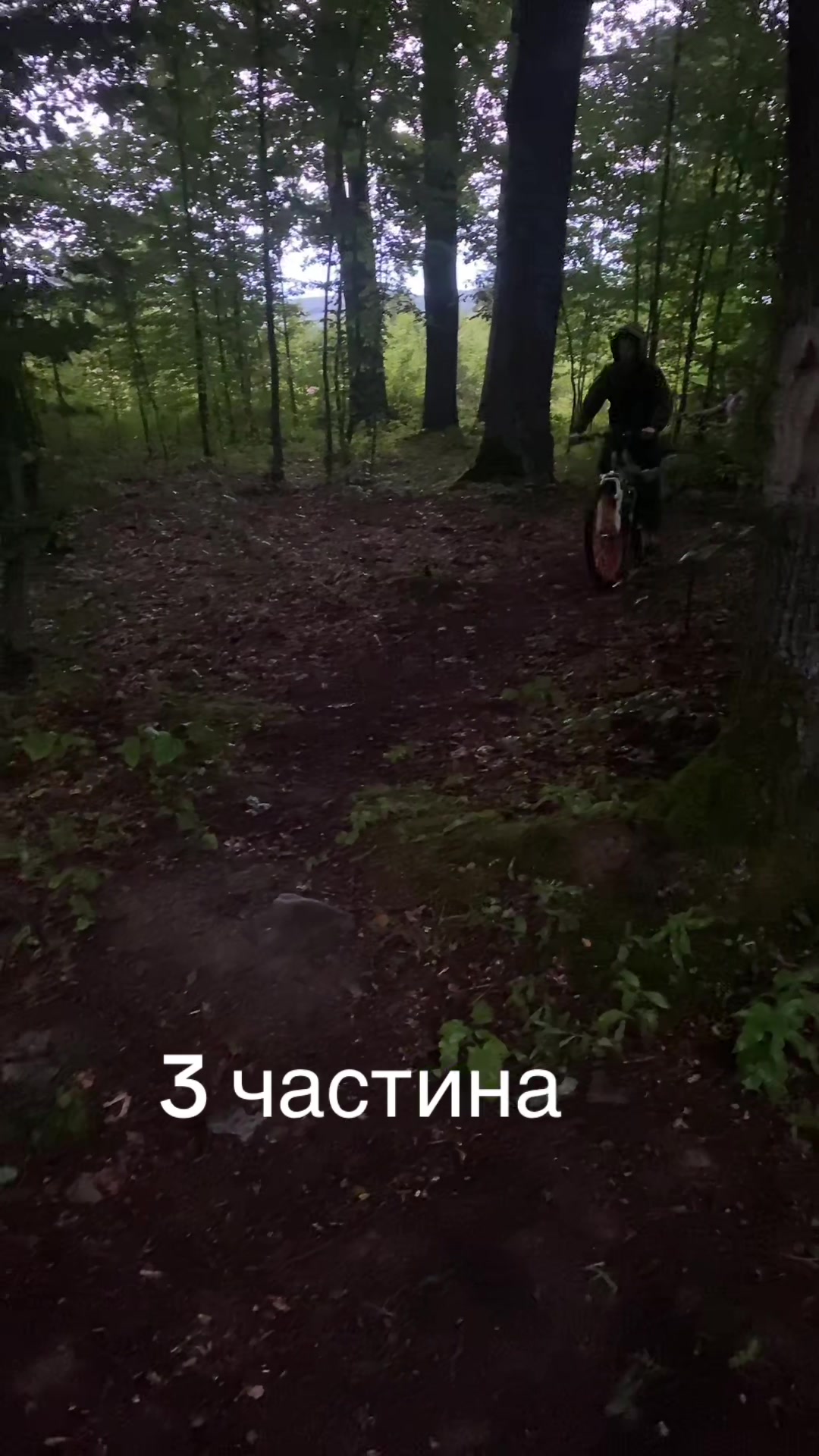 @PROVITALIK