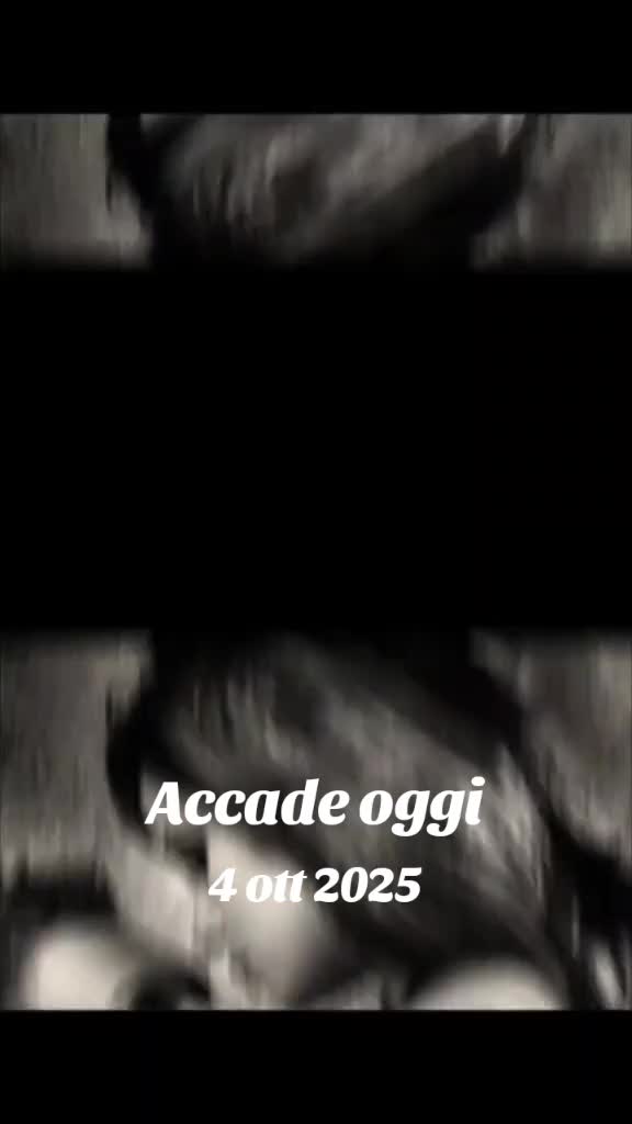@alessandramarchi726