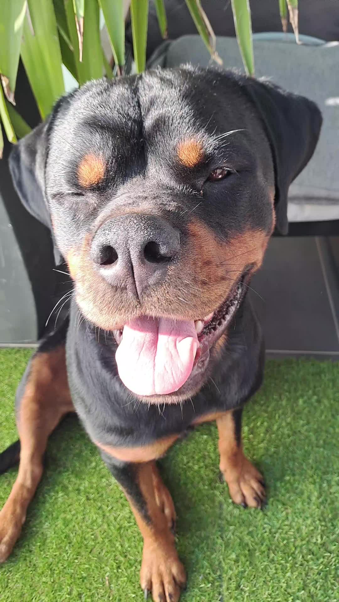 @NALA