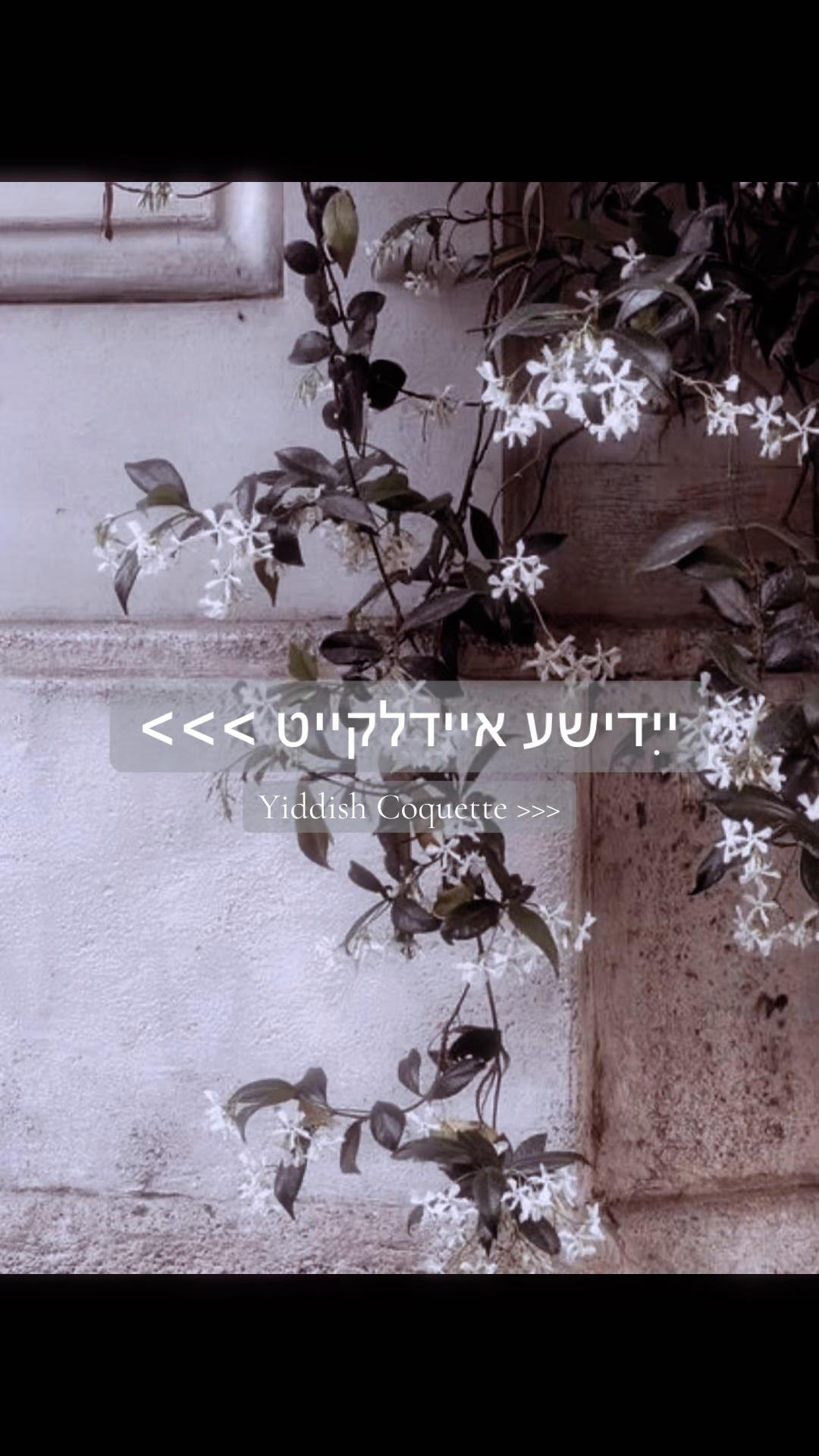 @ᨒ↟Your Fav Faygeleh ᨒོ