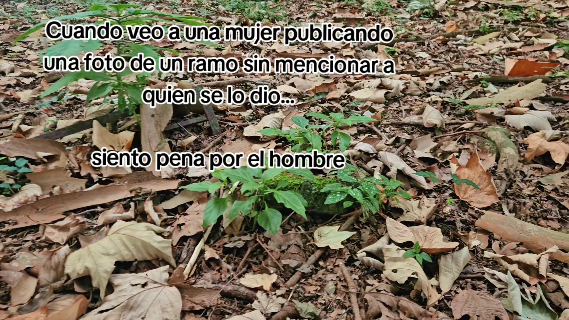 @RafaLuna