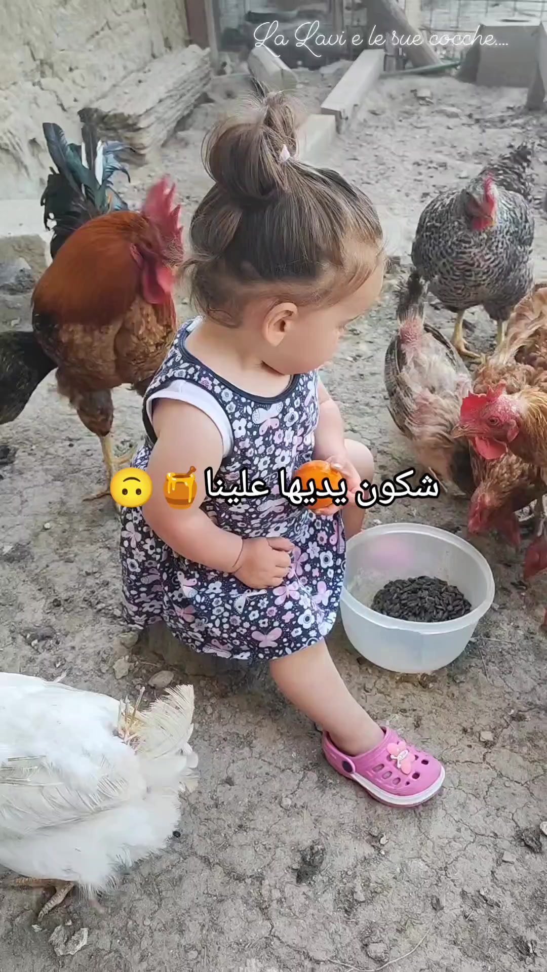 @A_____brayji