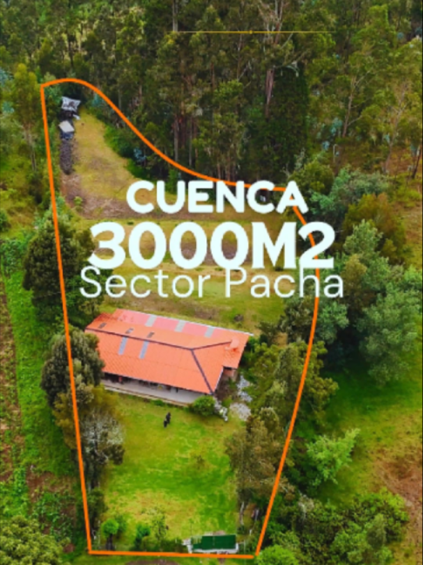 @Maurat Real Estate