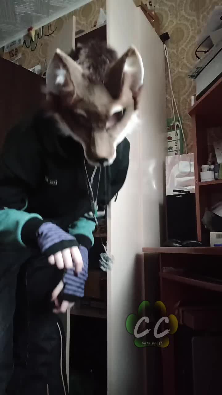 @CatsCraft🐾