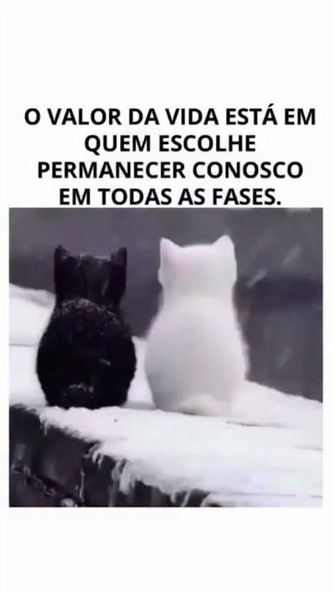 @Eliane Souza