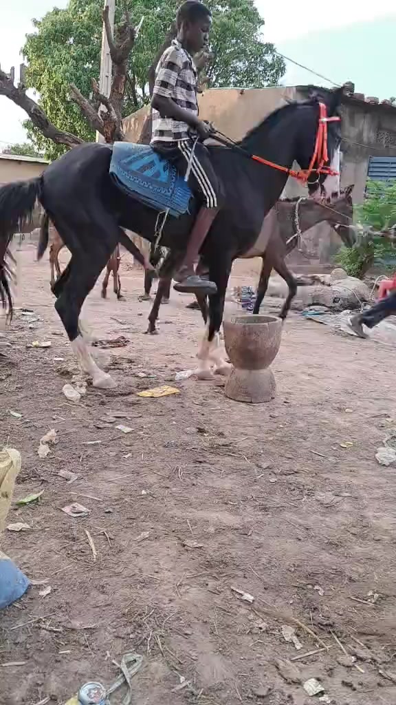 @ওঐ