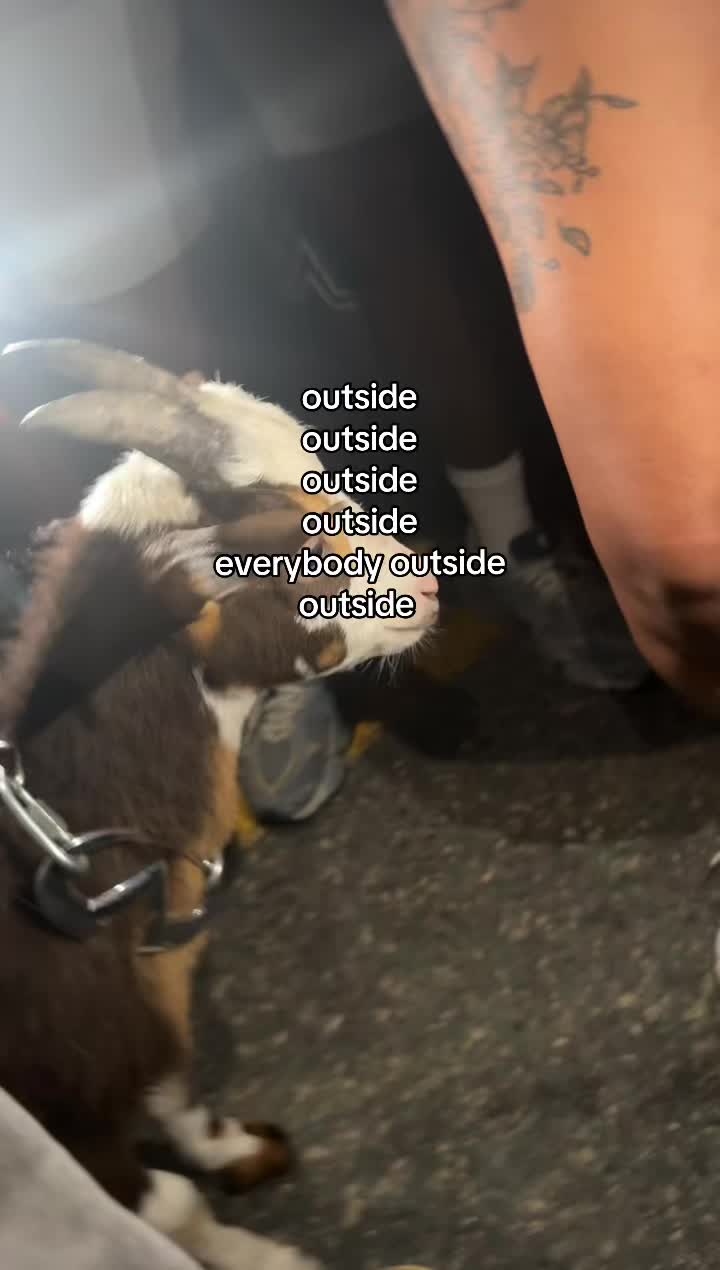 @🧑🏾🦯➡️